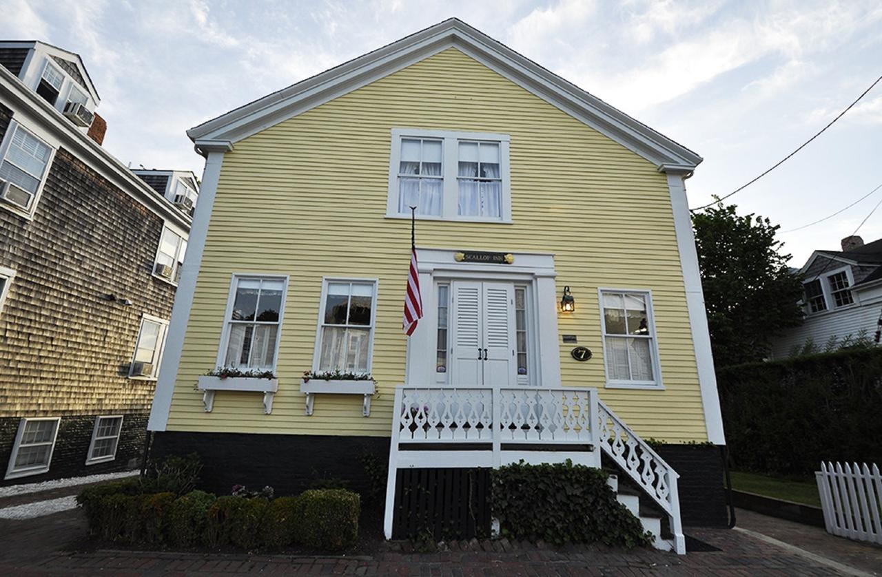 Nantucket Periwinkle - thumb 10