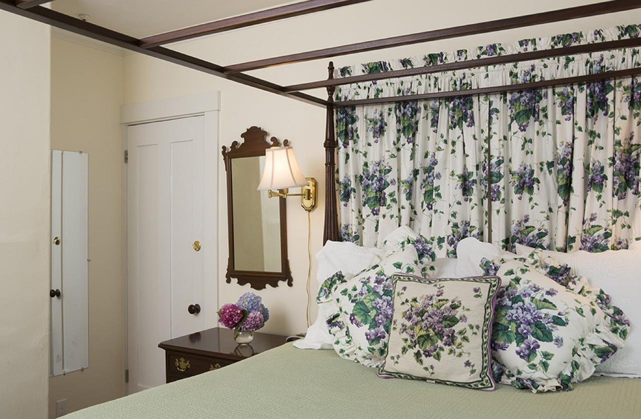 Nantucket Periwinkle - thumb 1