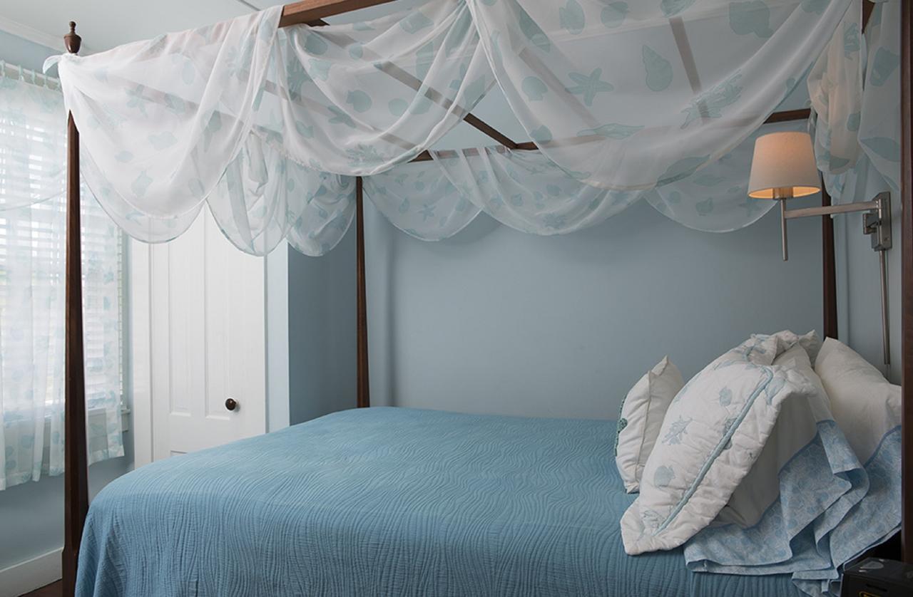 Nantucket Periwinkle - thumb 8