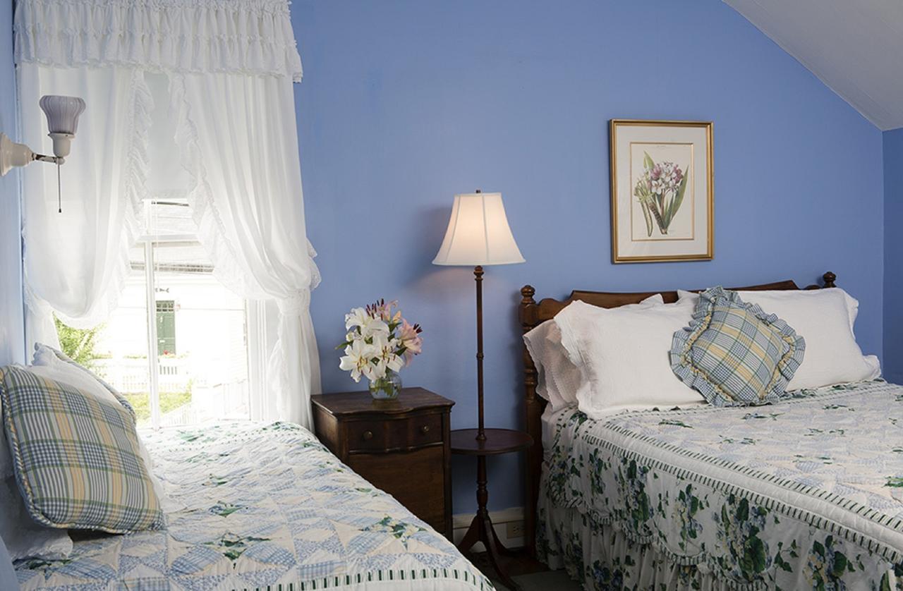 Nantucket Periwinkle - thumb 20