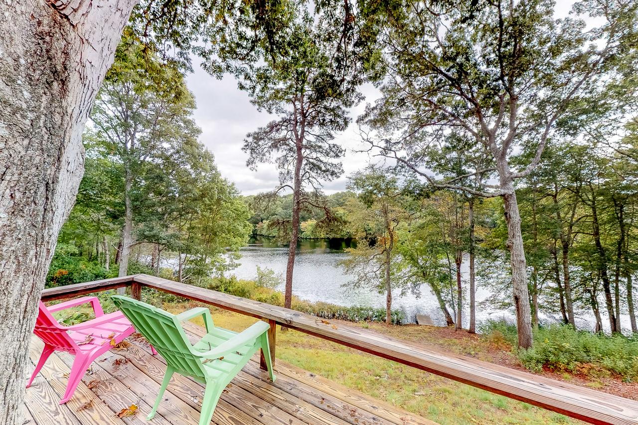 Hydrangea Heaven - thumb 34