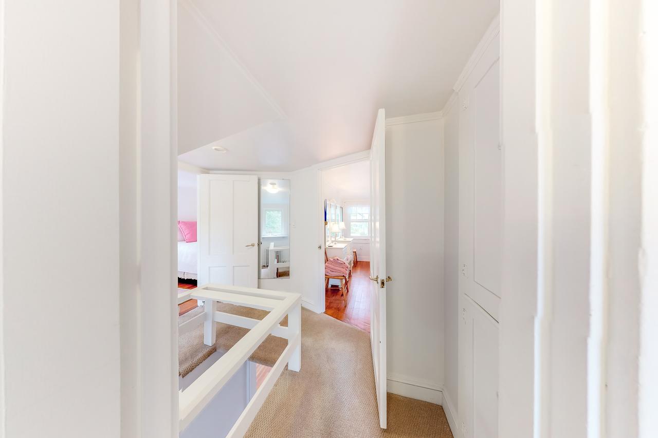 Hydrangea Heaven - thumb 30