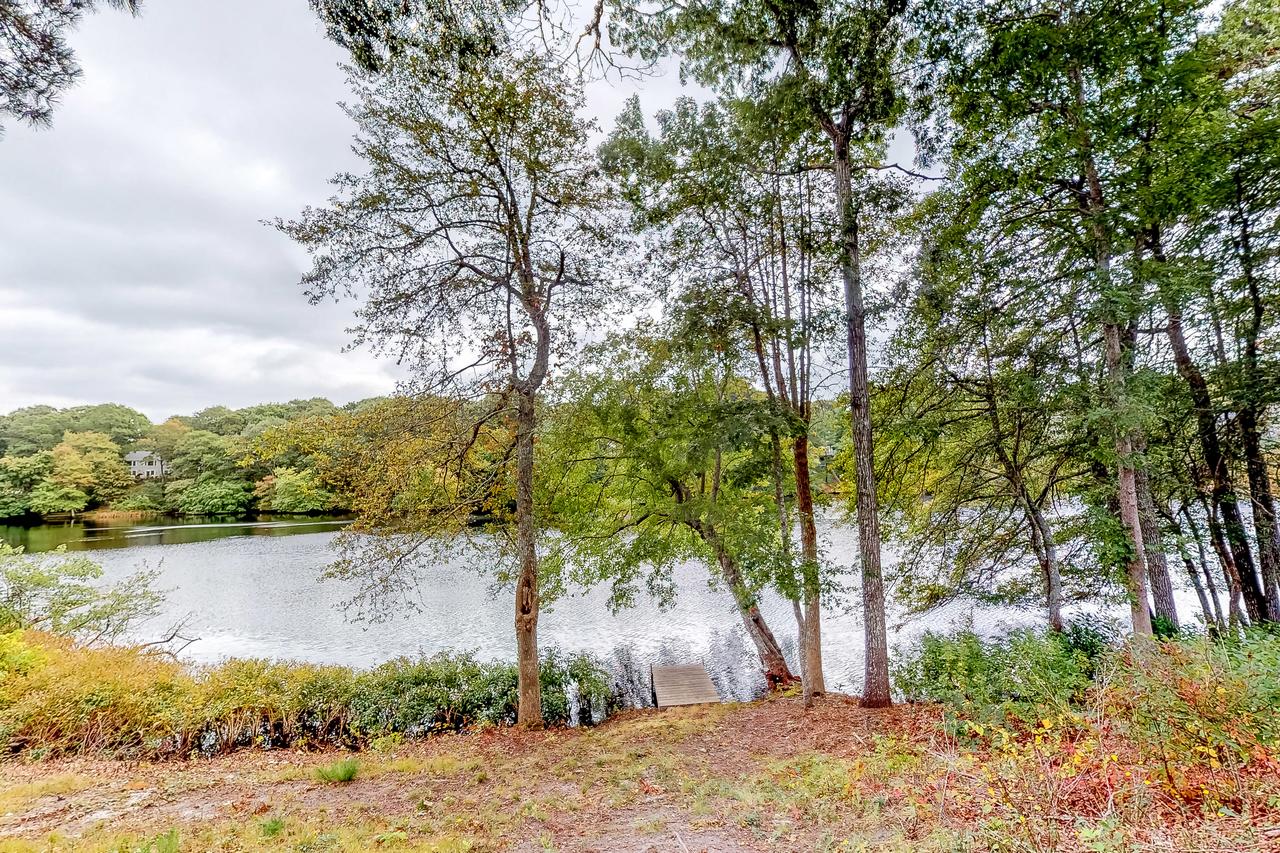 Hydrangea Heaven - thumb 19