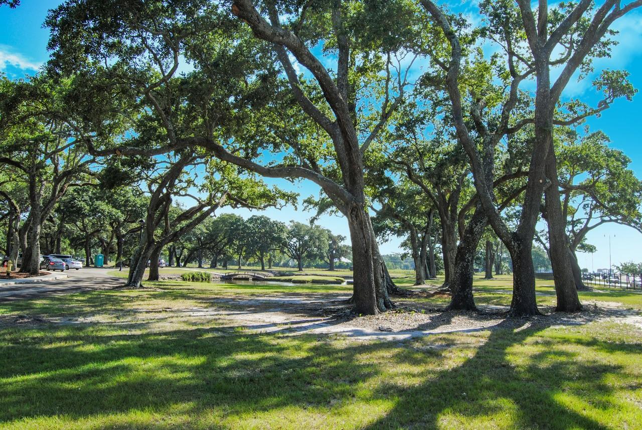 Oasis Resort Gulfport - thumb 36