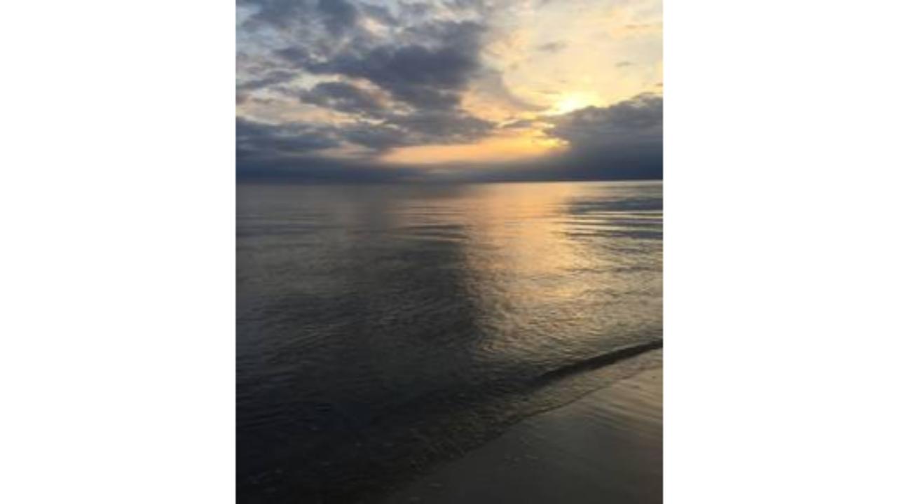 Sea-Elusion Escape - thumb 4