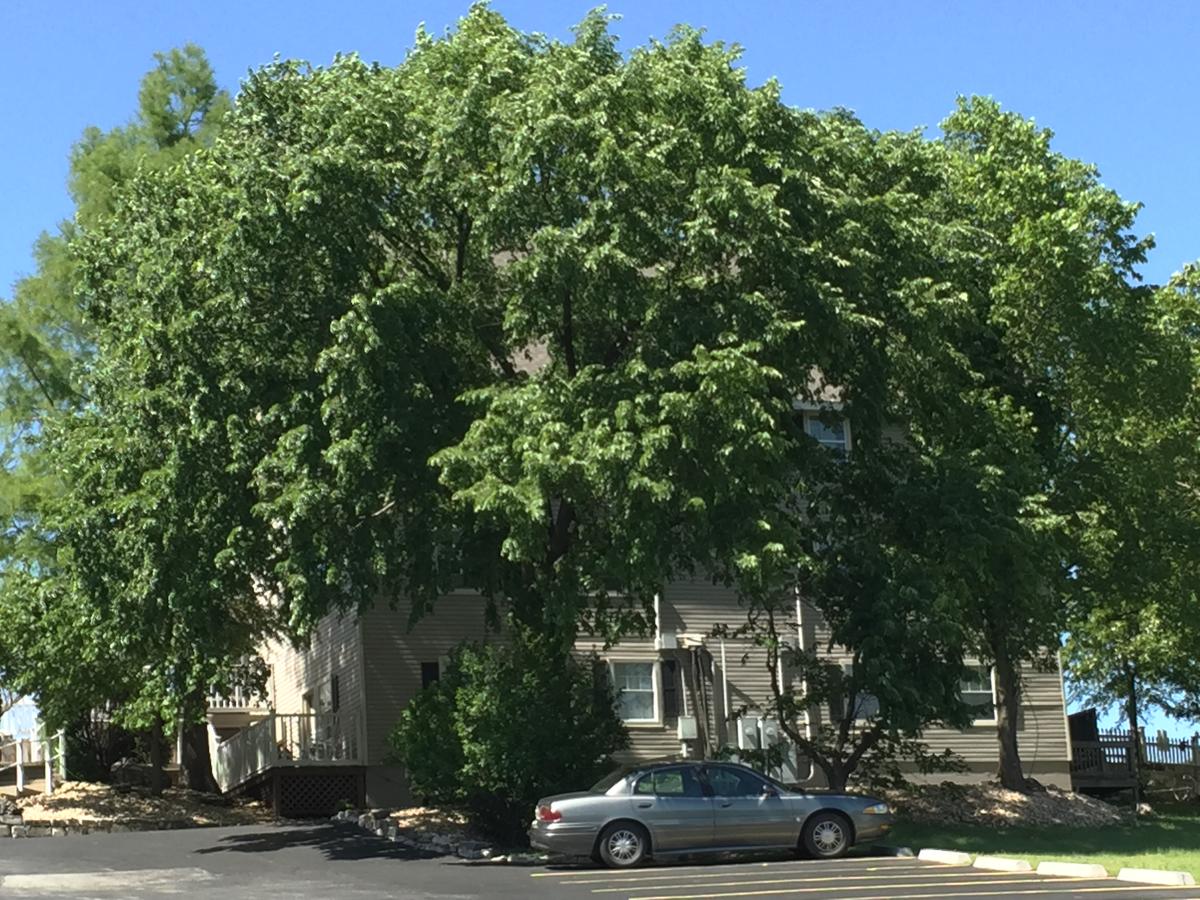 Gazebo Inn - thumb 30