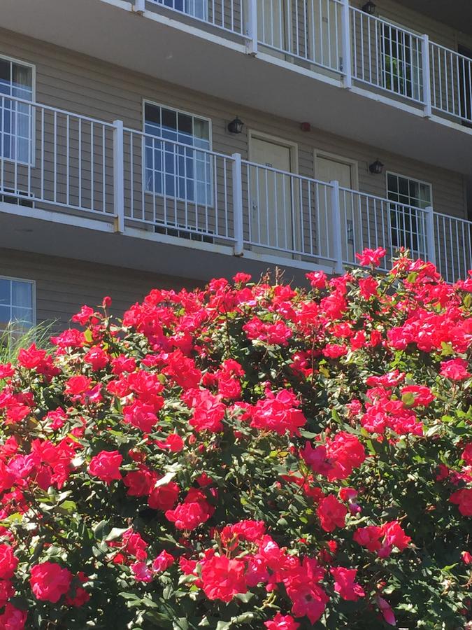 Gazebo Inn - thumb 34