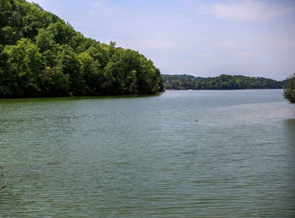 Back Porch Paradise Home - thumb 5