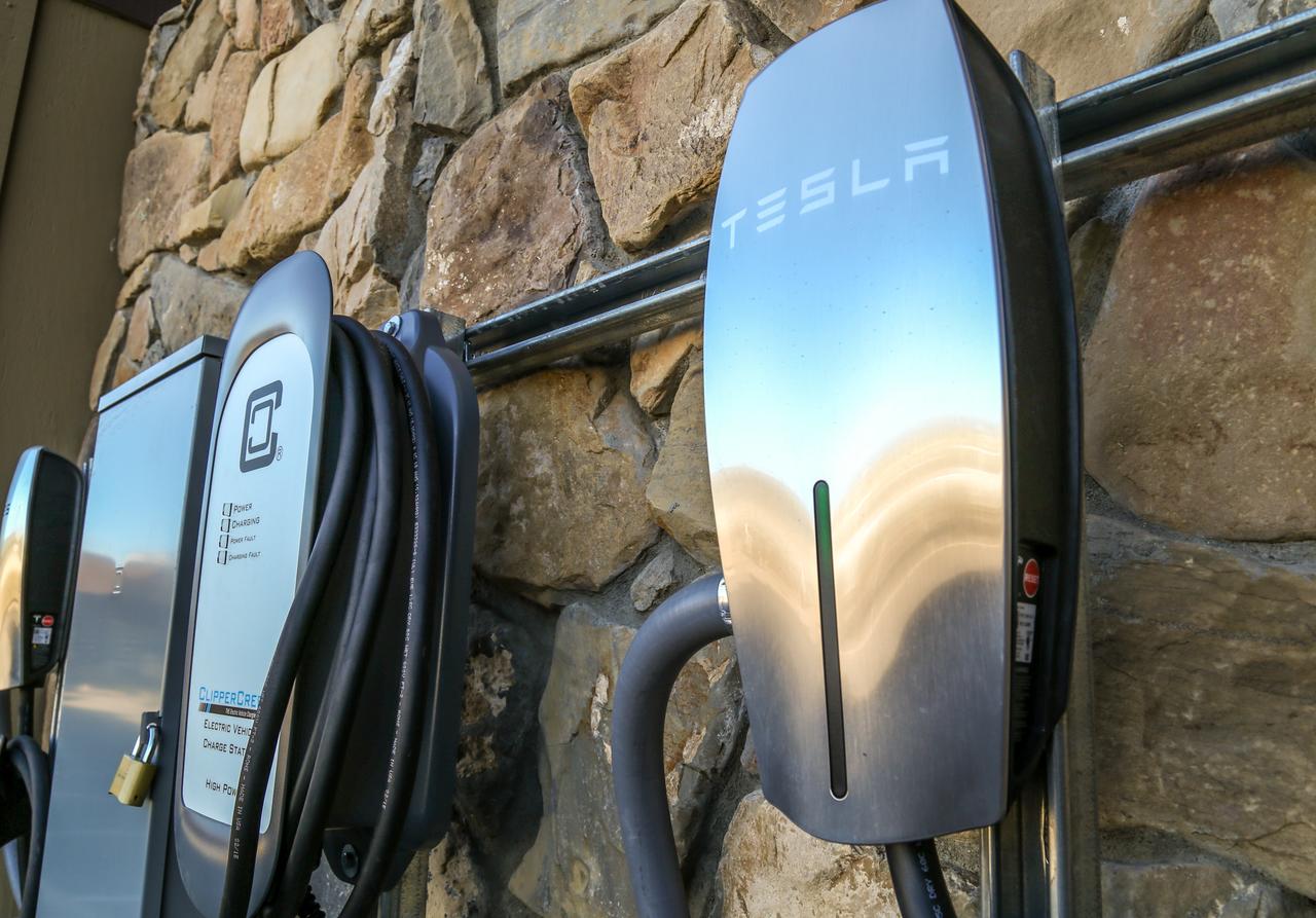 Gray Wolf Inn & Suites - thumb 9