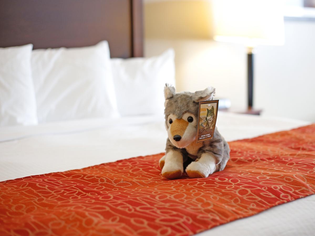 Gray Wolf Inn & Suites - thumb 12