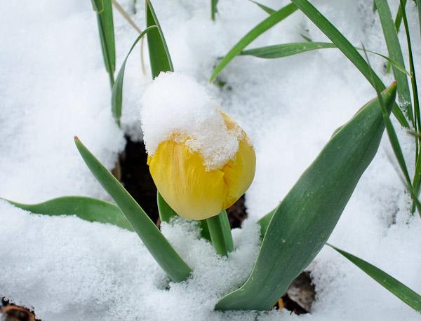 Blue Sky Retreat Center - thumb 25