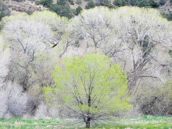 Blue Sky Retreat Center - thumb 26