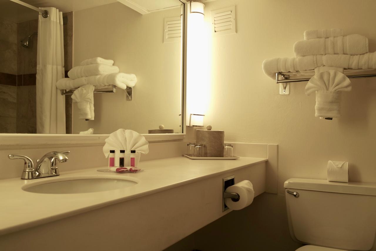 Ramada By Wyndham Las Cruces Hotel & Conference Center - thumb 23