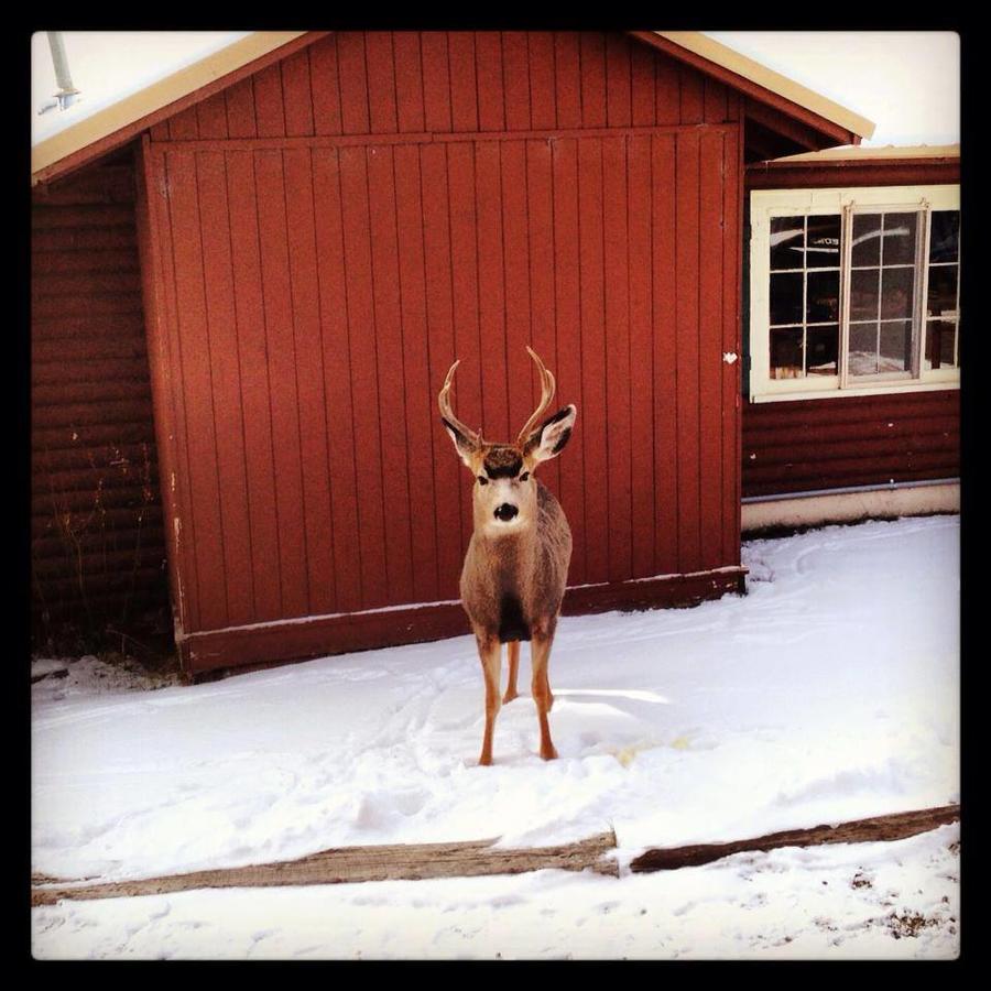 Three Bears Lodge - thumb 44