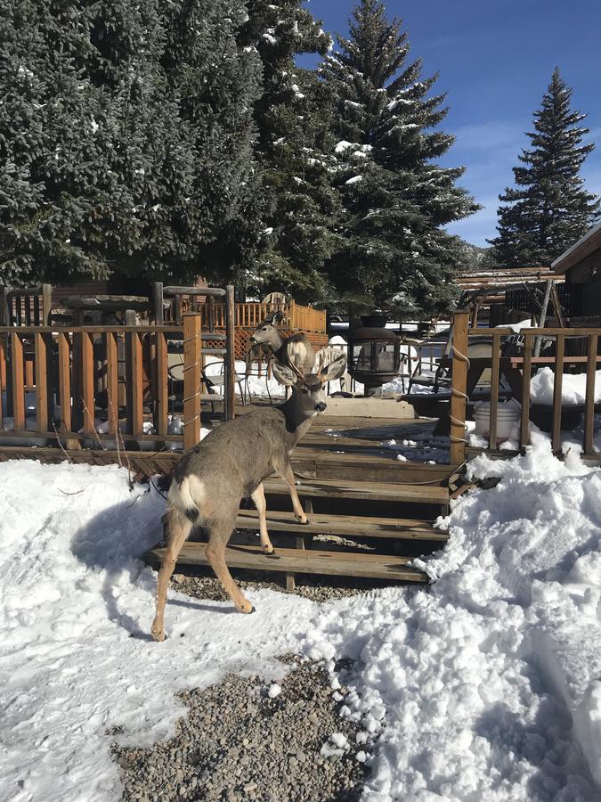 Three Bears Lodge - thumb 3