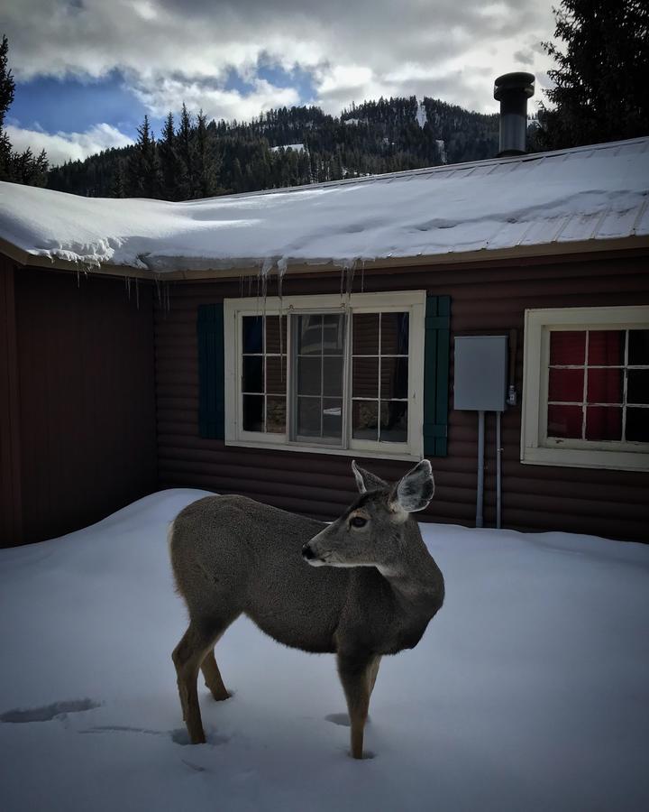 Three Bears Lodge - thumb 15