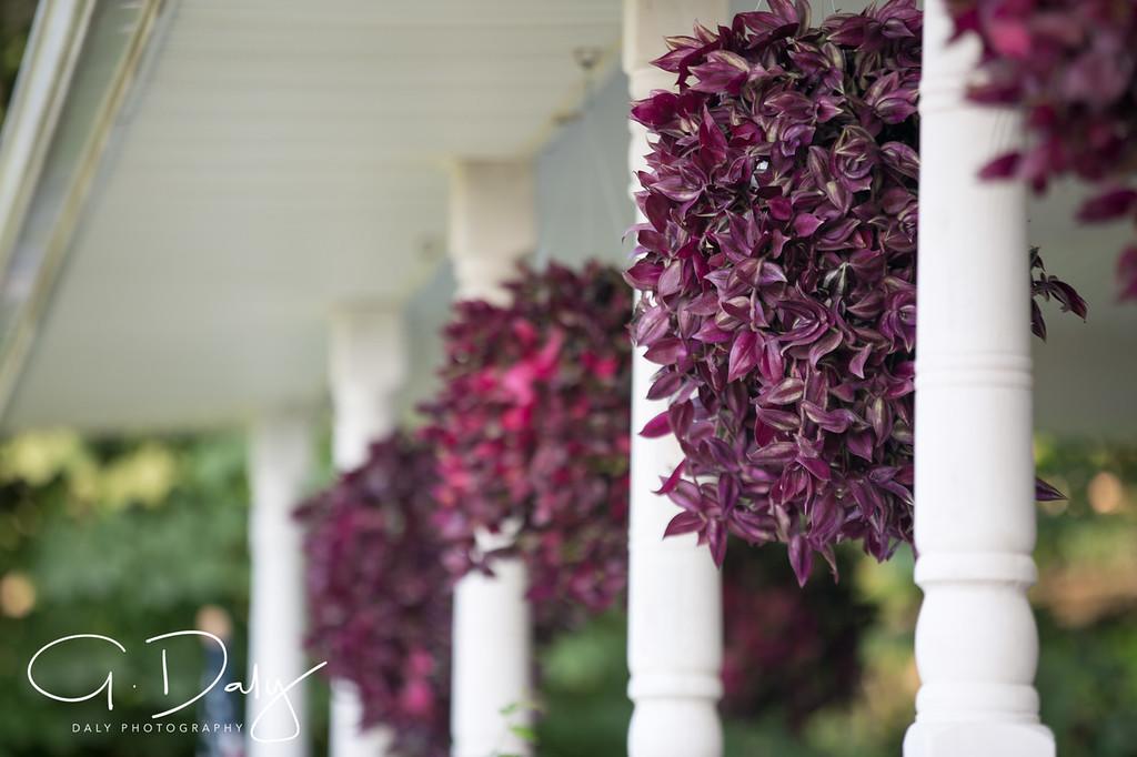 Letchworth Farm - thumb 12