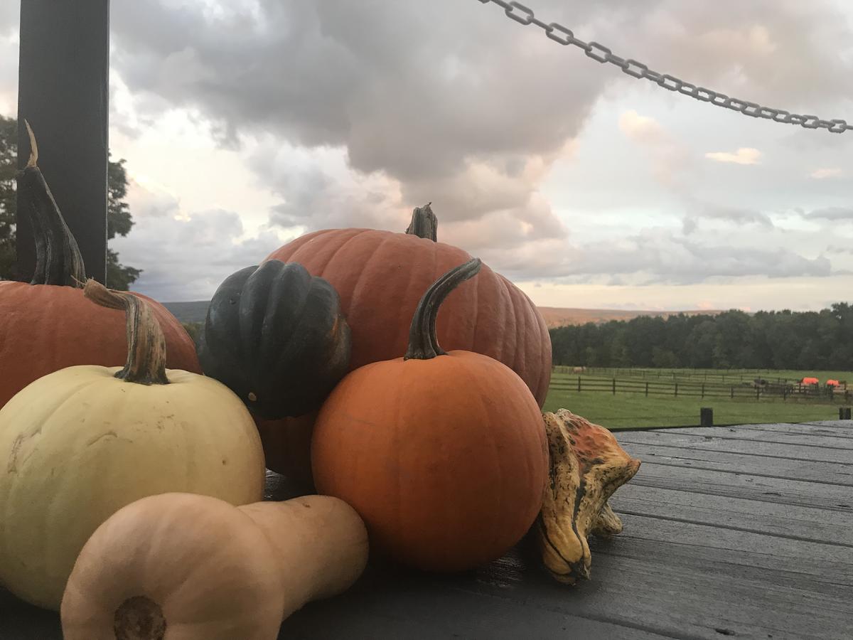 Letchworth Farm - thumb 44