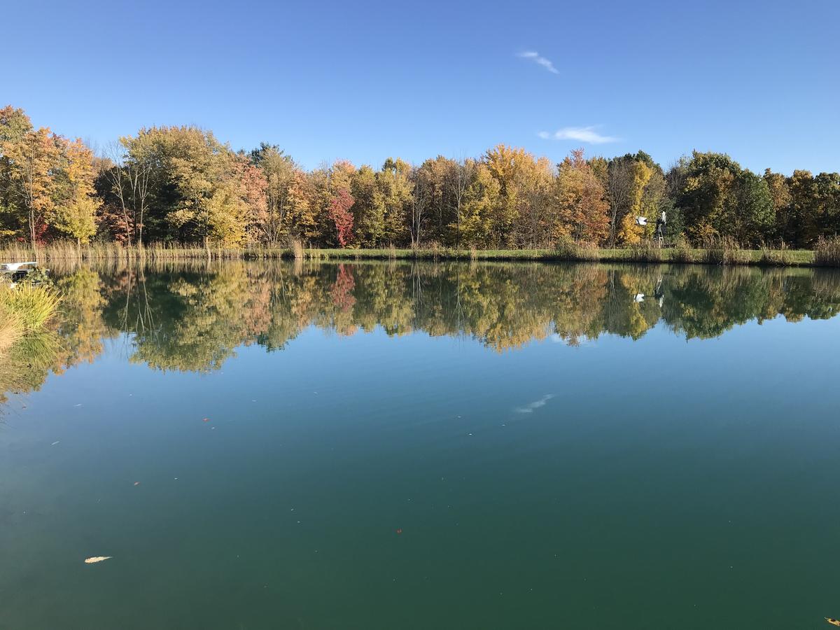 Letchworth Farm - thumb 17