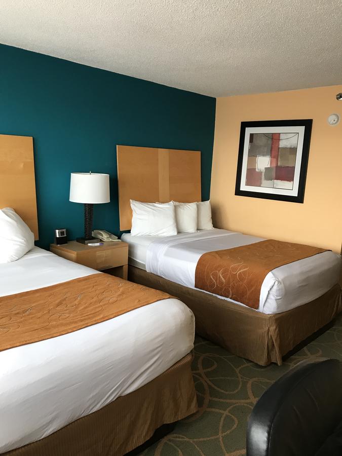 Trip Hotel Ithaca - thumb 17