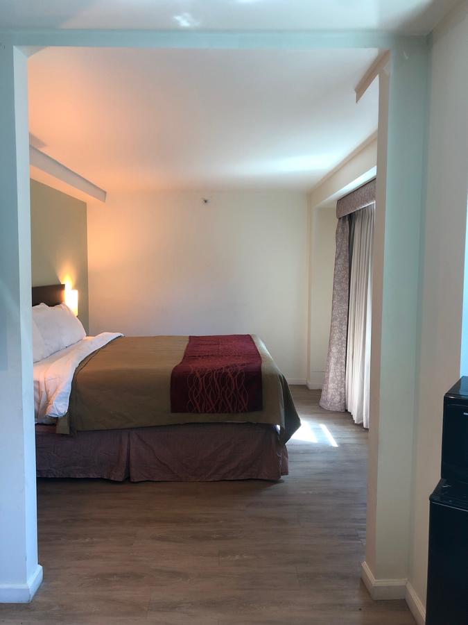 Umbrella Hotel Queens Airports - thumb 6