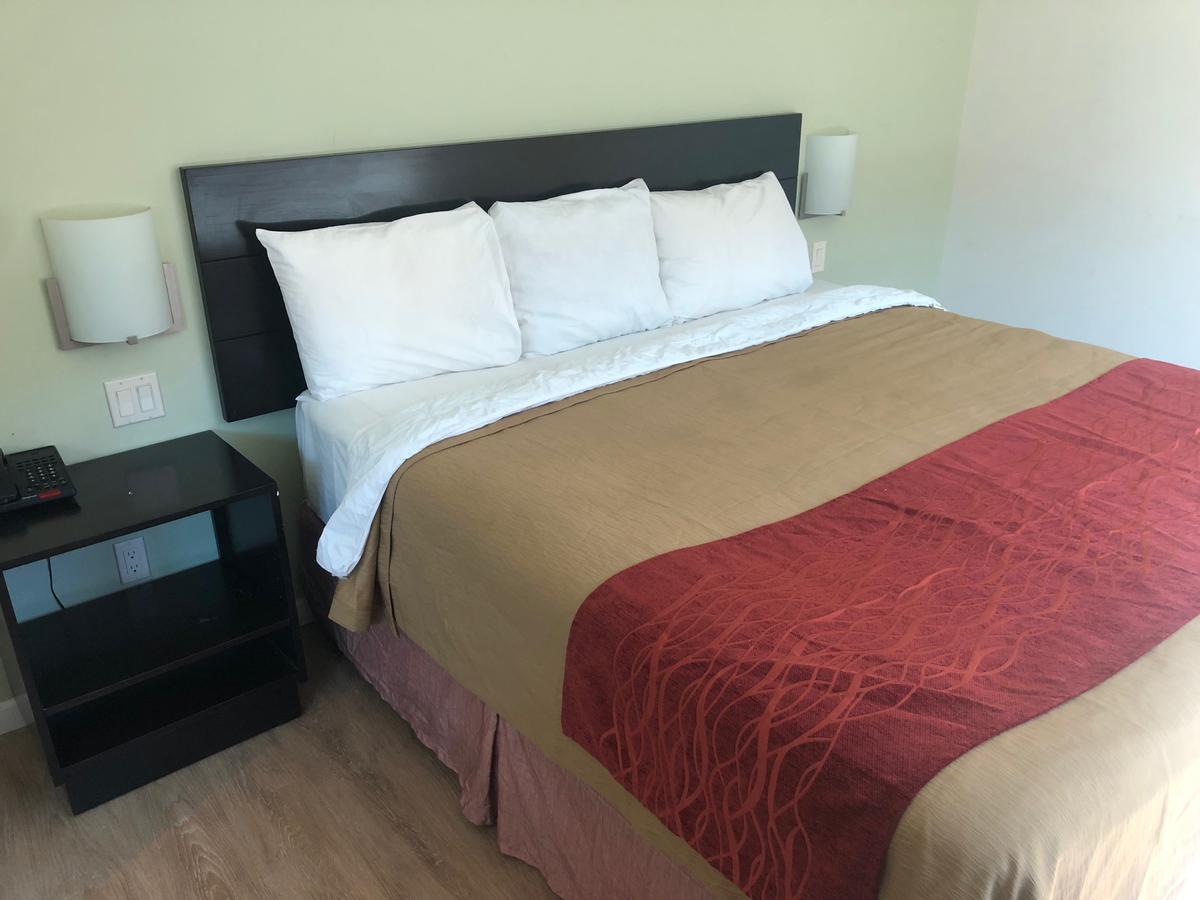 Umbrella Hotel Queens Airports - thumb 11