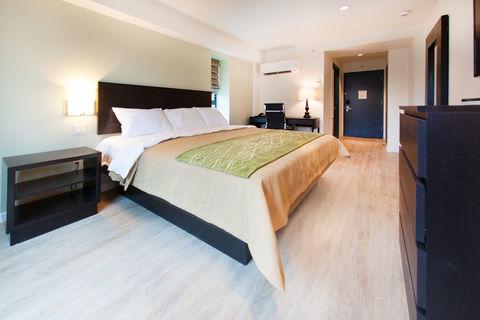 Umbrella Hotel Queens Airports - thumb 4