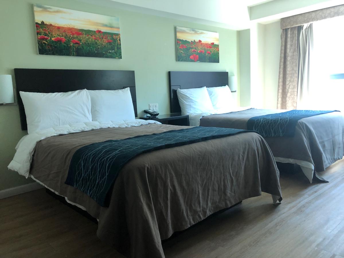 Umbrella Hotel Queens Airports - thumb 3