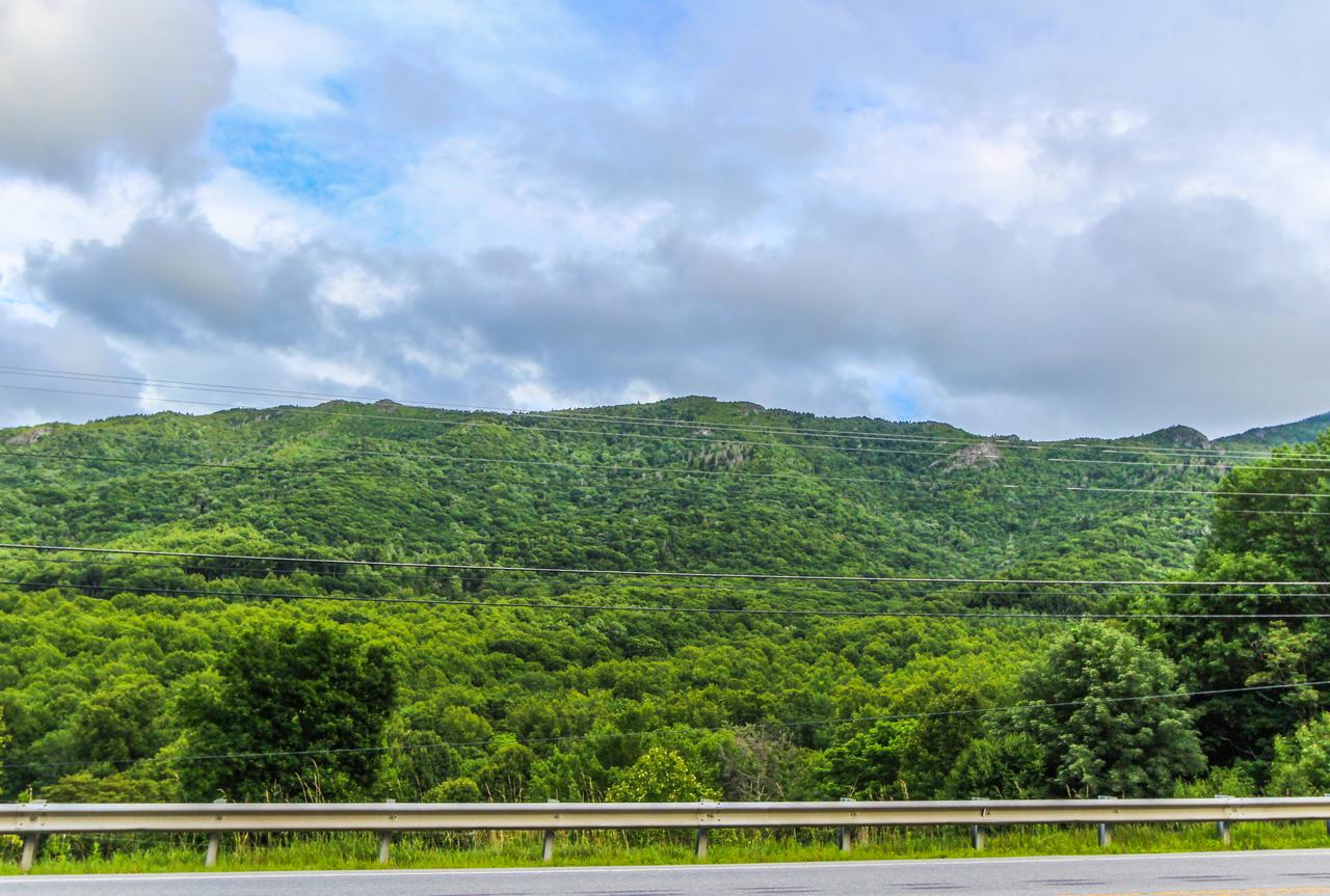 Smoketree Lodge, A VRI Resort - thumb 29