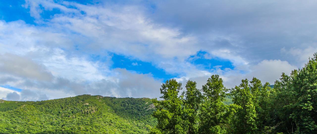 Smoketree Lodge, A VRI Resort - thumb 31