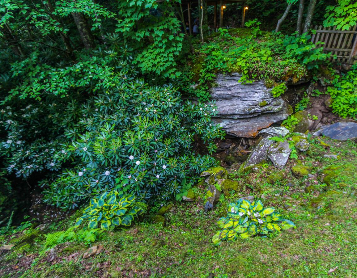 Smoketree Lodge, A VRI Resort - thumb 30