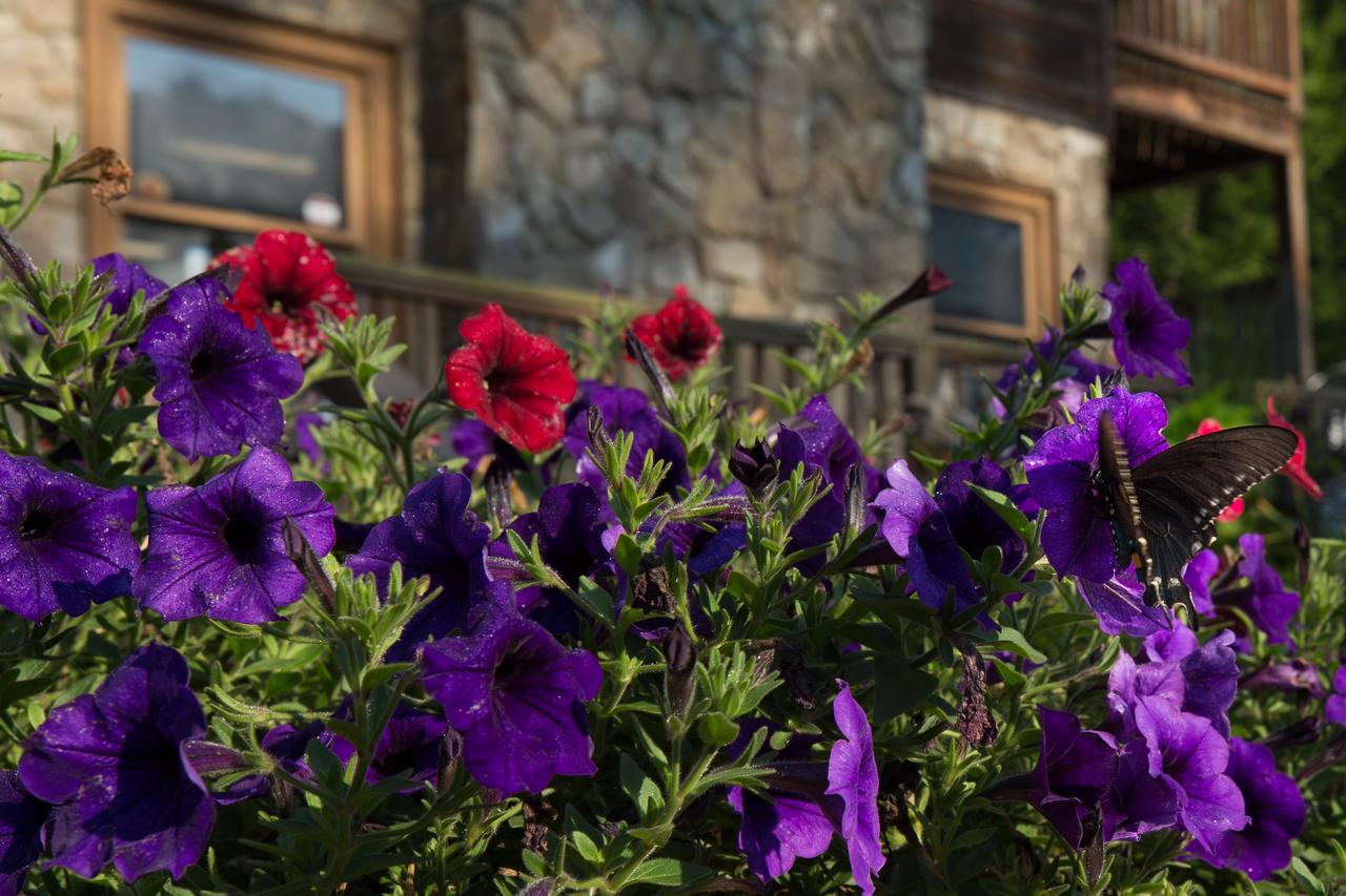 Springmaid Mountain - thumb 3