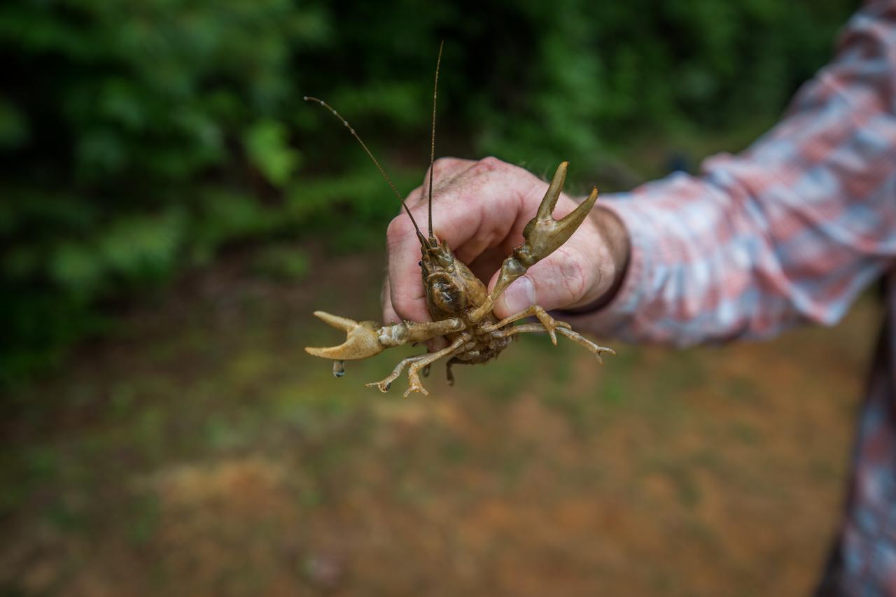 Springmaid Mountain - thumb 1