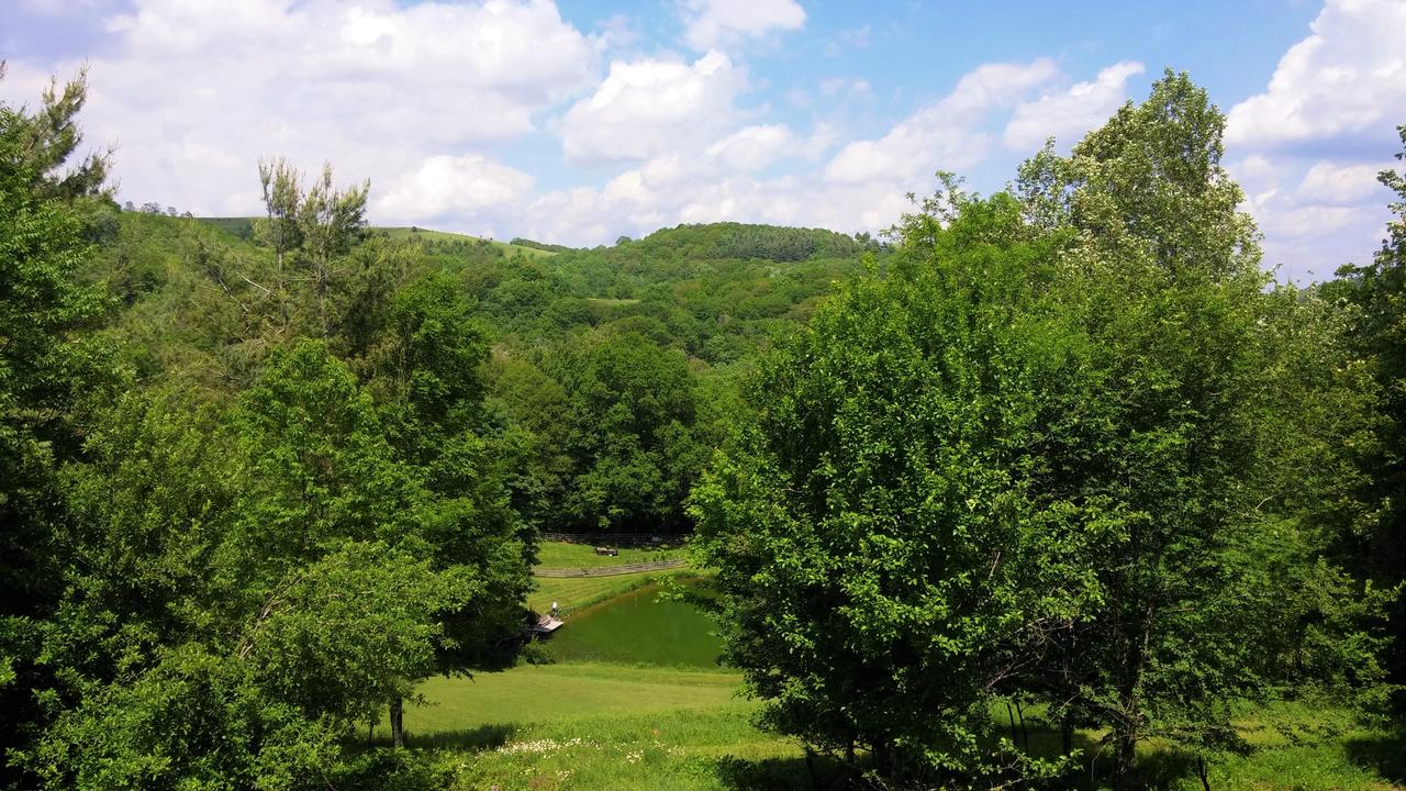 4 Bears Lodge Home - thumb 4