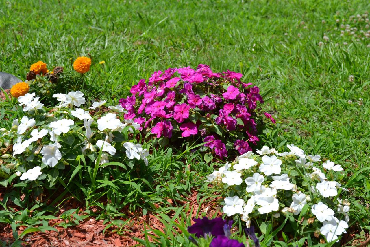 Americas Best Value Inn Smithfield - thumb 9