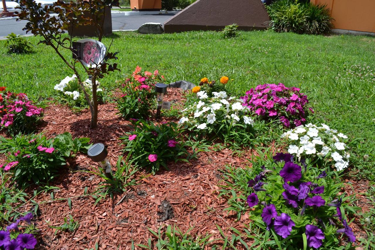 Americas Best Value Inn Smithfield - thumb 15