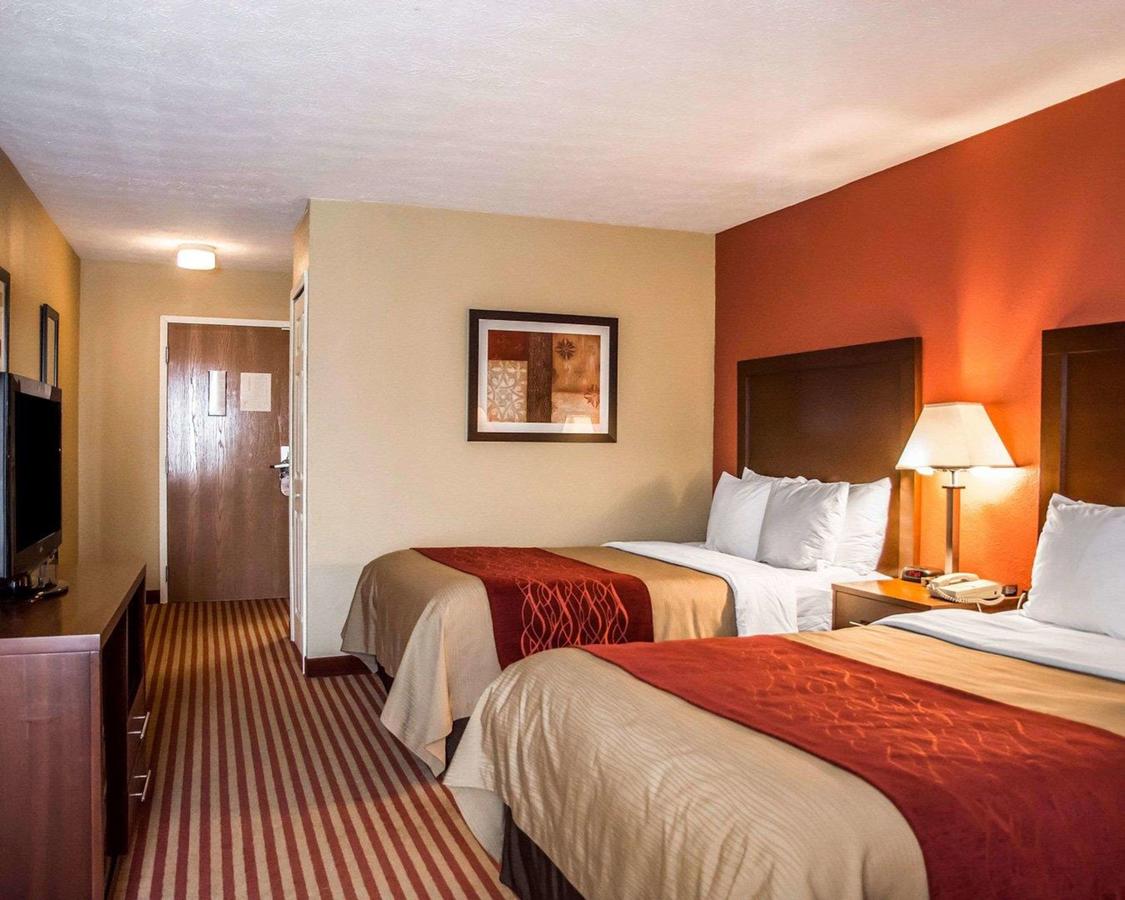 Comfort Inn And Suites Eastgate Cincinnati - thumb 19