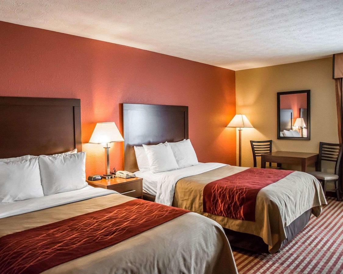 Comfort Inn And Suites Eastgate Cincinnati - thumb 21
