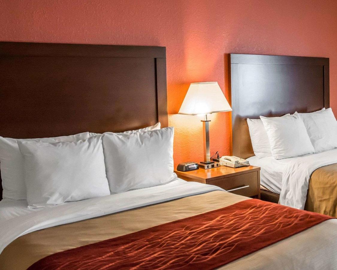 Comfort Inn And Suites Eastgate Cincinnati - thumb 20