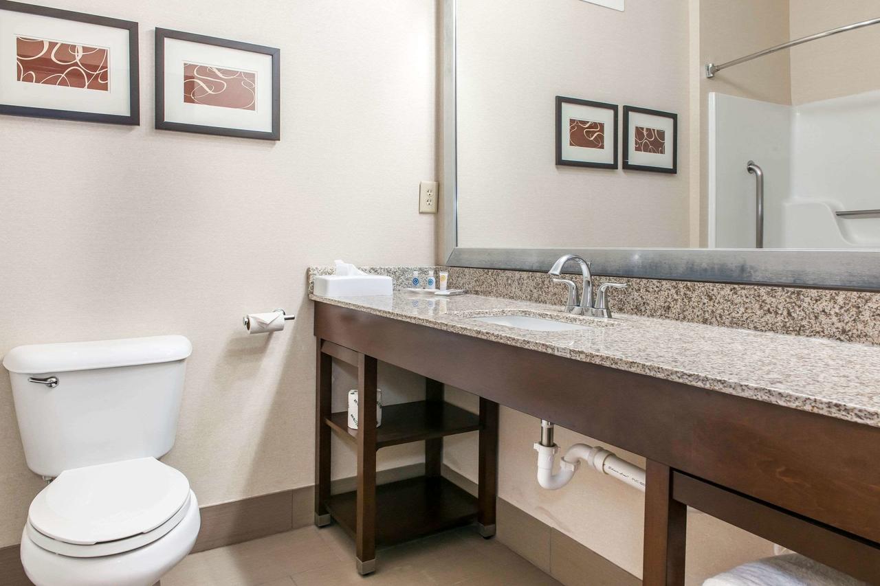 Comfort Suites Columbus - thumb 24