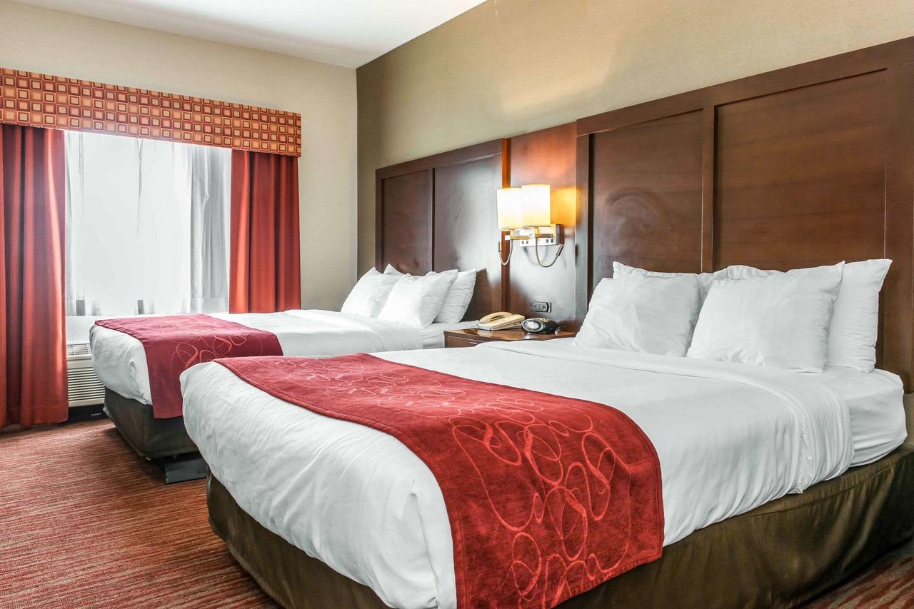 Comfort Suites Columbus - thumb 20