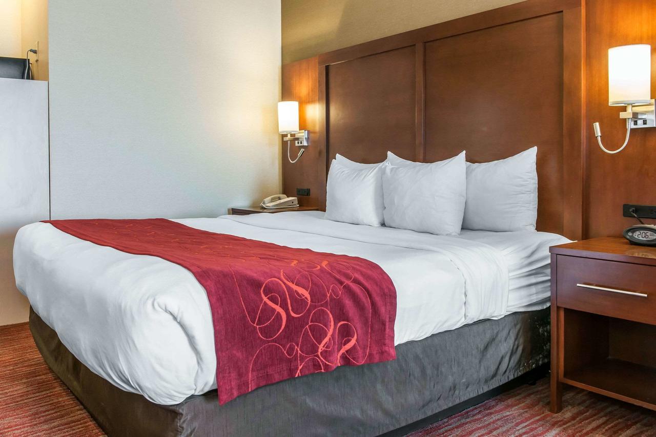 Comfort Suites Columbus - thumb 22