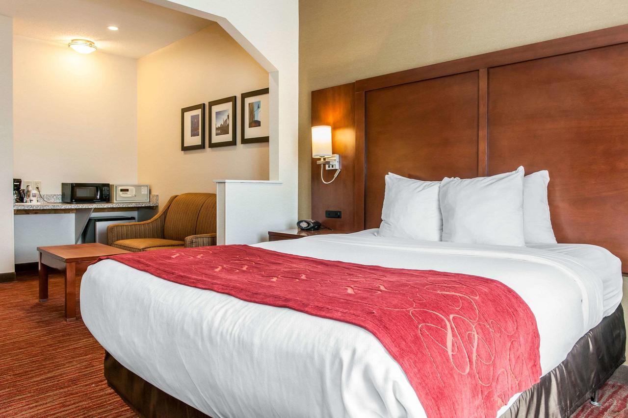 Comfort Suites Columbus - thumb 16