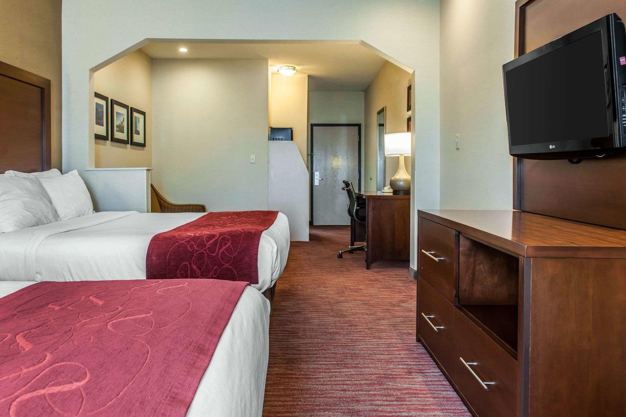 Comfort Suites Columbus - thumb 19