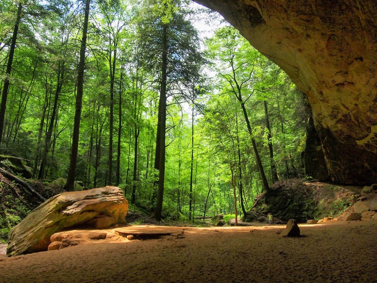 McDonald Inn - thumb 25