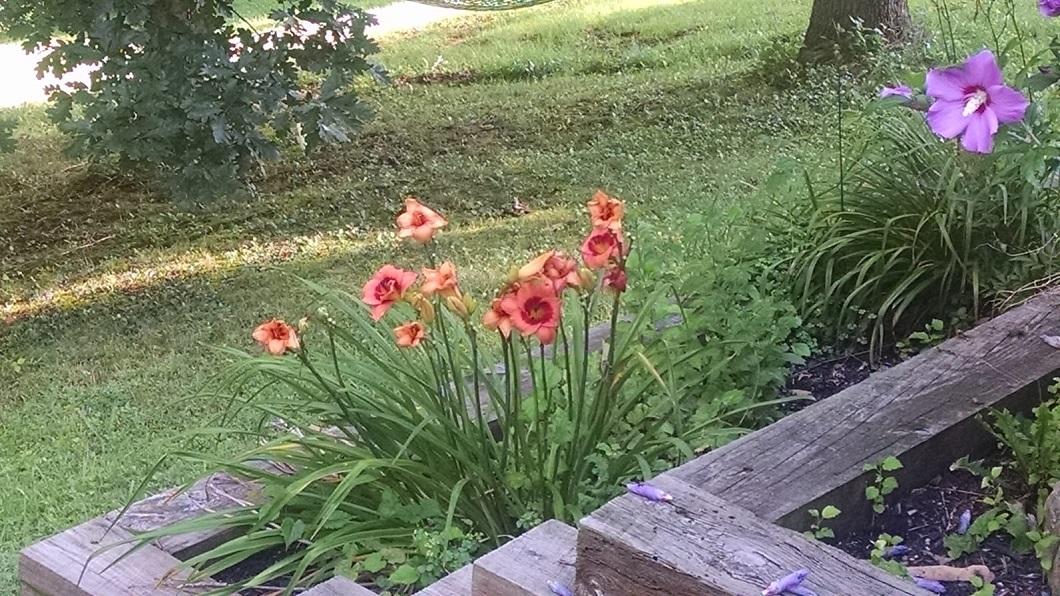 McDonald Inn - thumb 32