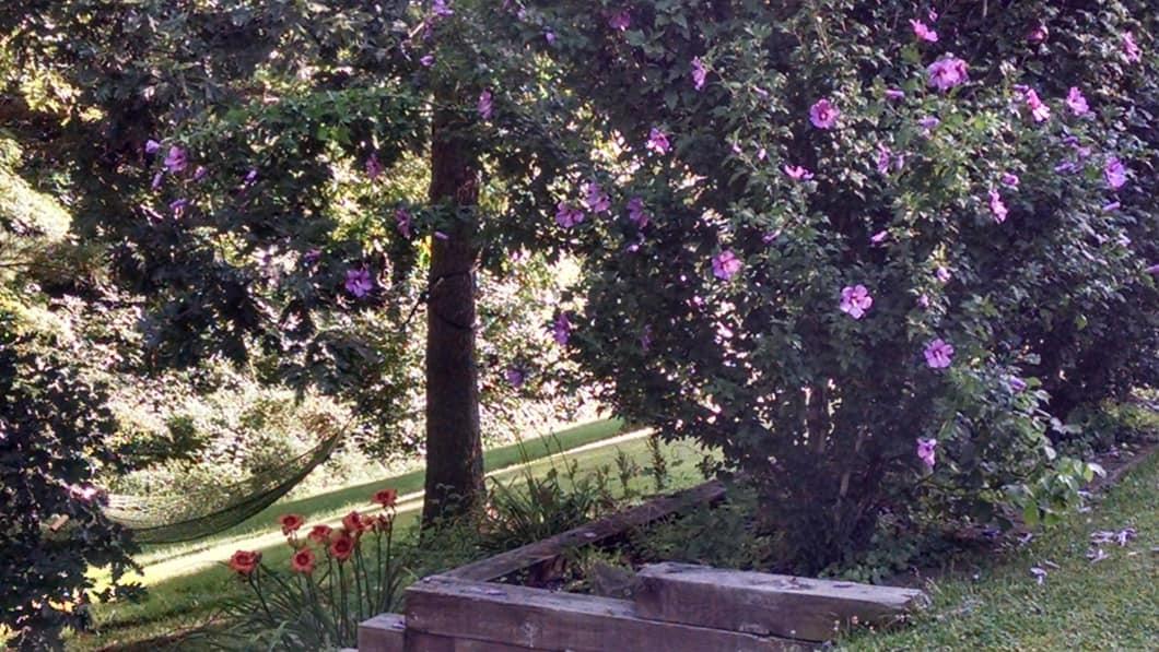 McDonald Inn - thumb 34