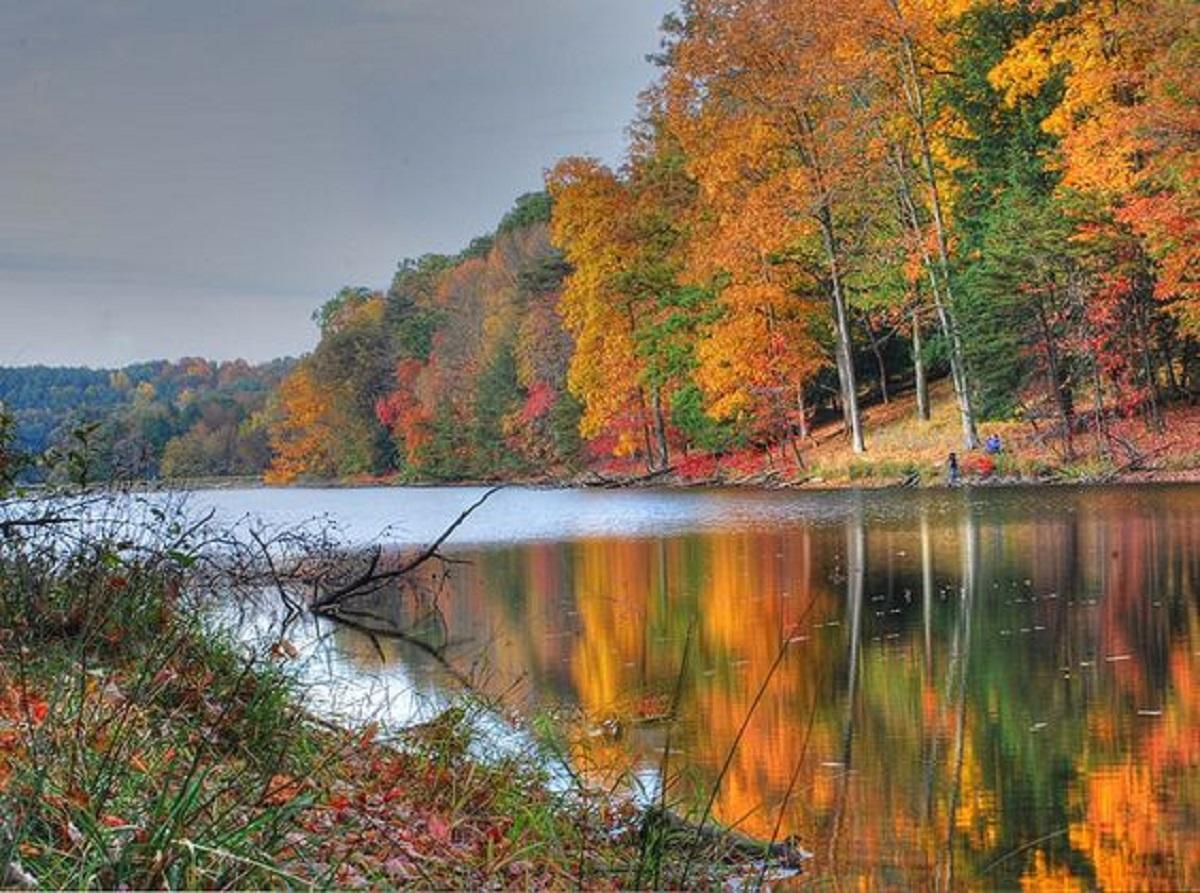 McDonald Inn - thumb 26