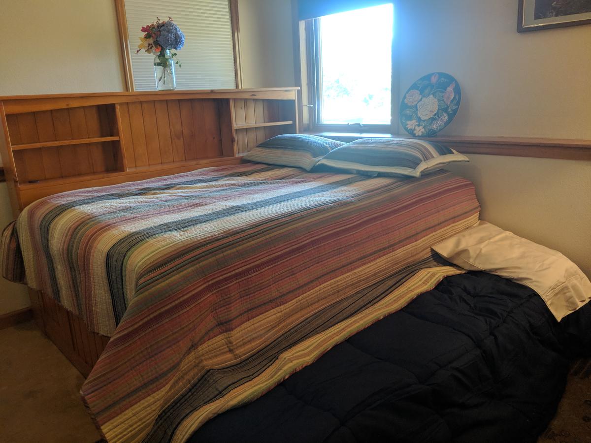 An Oasis In The Country - thumb 2