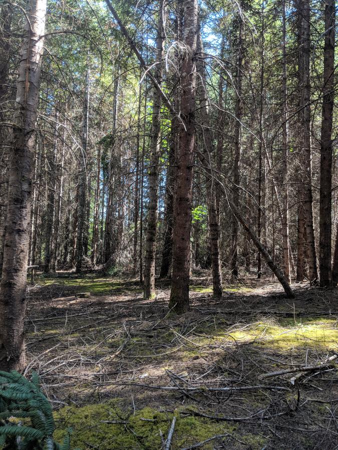 An Oasis In The Country - thumb 13